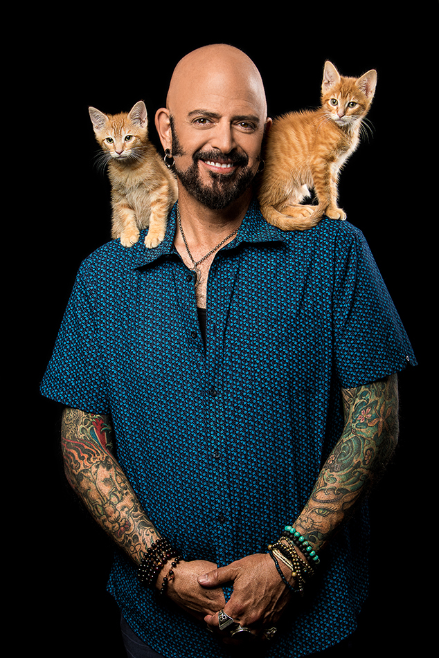 Jackson Galaxy Is Returning With My Cat From Hell Coronavirus Special To Help With Feisty Felines E Online